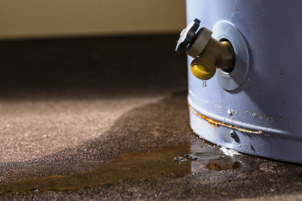  Varnville, SC Water damage restoration Pros