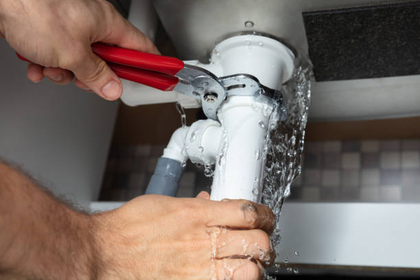 Best Water damage contractors near me  in Varnville, SC