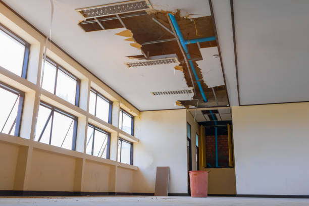 Best Sewage cleanup and water damage restoration  in Varnville, SC