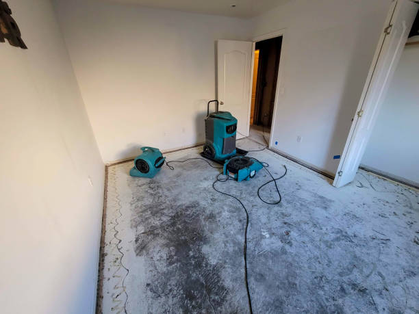 Best Local water damage restoration  in Varnville, SC