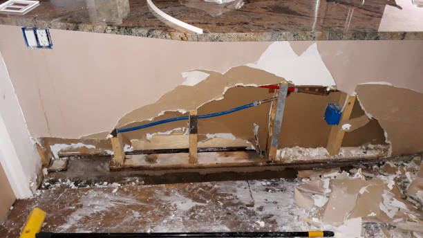 Best Mold removal after water damage  in Varnville, SC