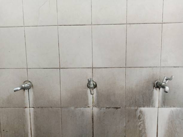 Best Water damage restoration services  in Varnville, SC