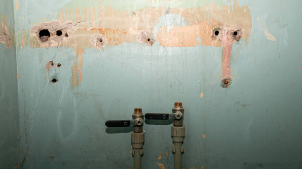 , SC Water damage restoration Company
