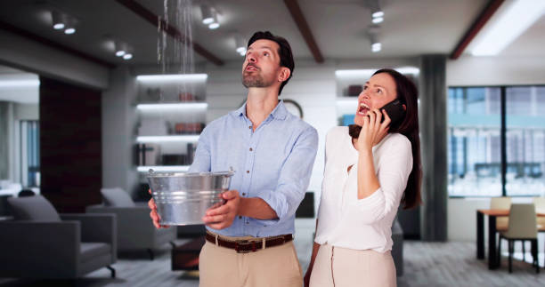 Best Water damage restoration near me  in Varnville, SC
