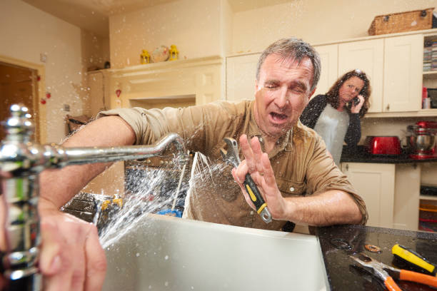 Best Fire Damage Restoration  in Varnville, SC